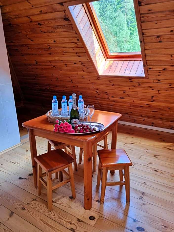 Hotel Karkonosze