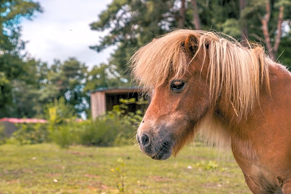 EuroParcs Reestervallei