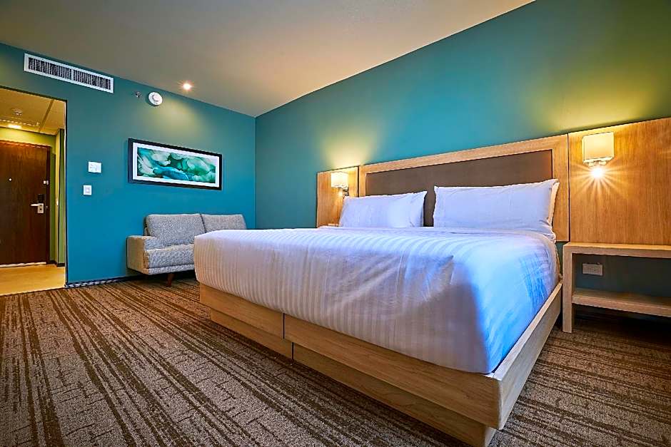 Photo 1 of 7 of Superior 1 King Bed