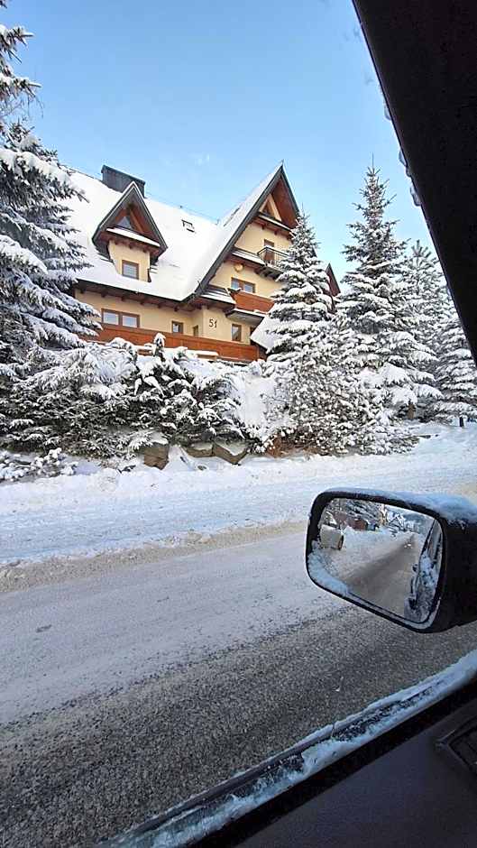Willa u Kośle Zakopane sauna i bilard