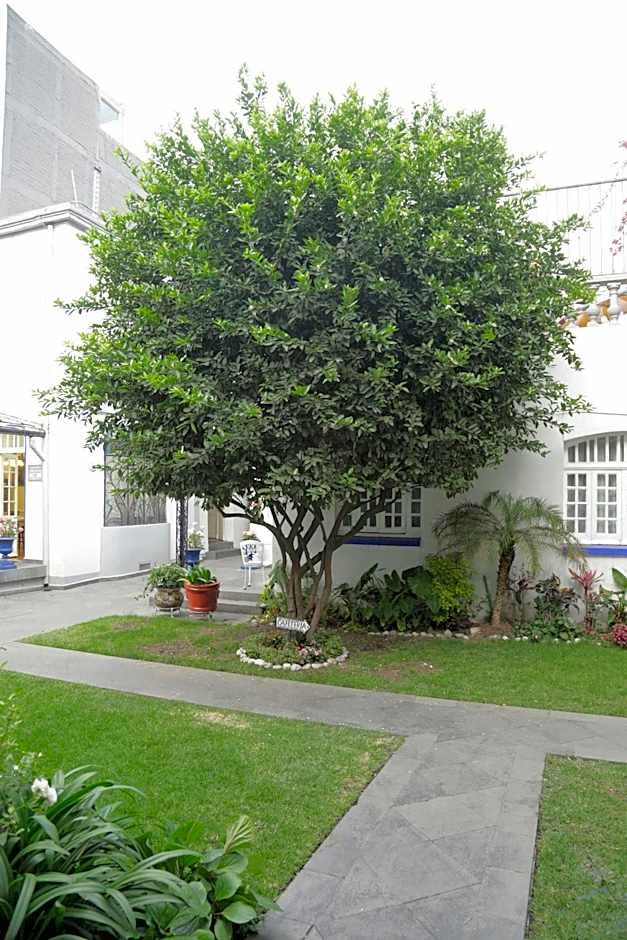 Hotel Casa Gonzalez