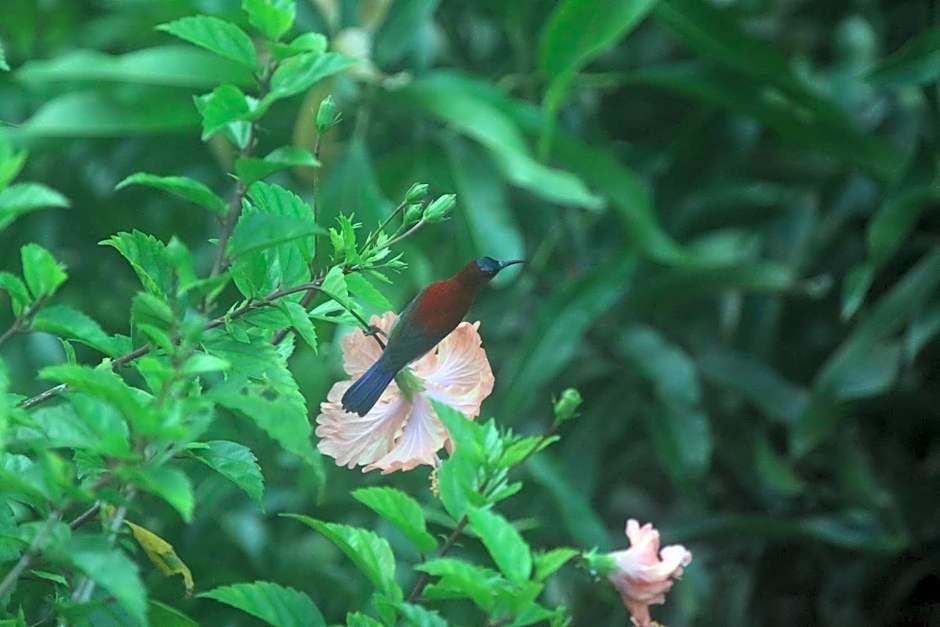 Veranda Nautica