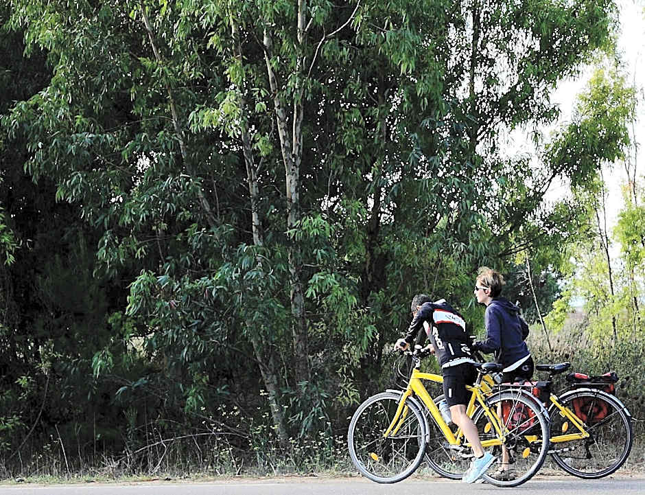 Sa Pedrera Country Hotel