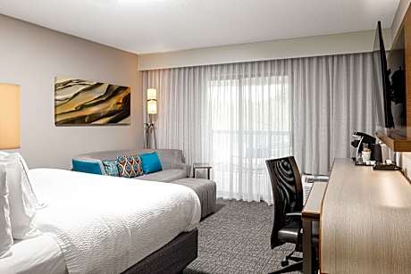 Room, 1 King Bed