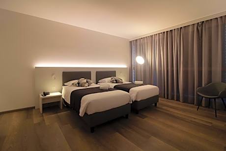 Business Twin Room