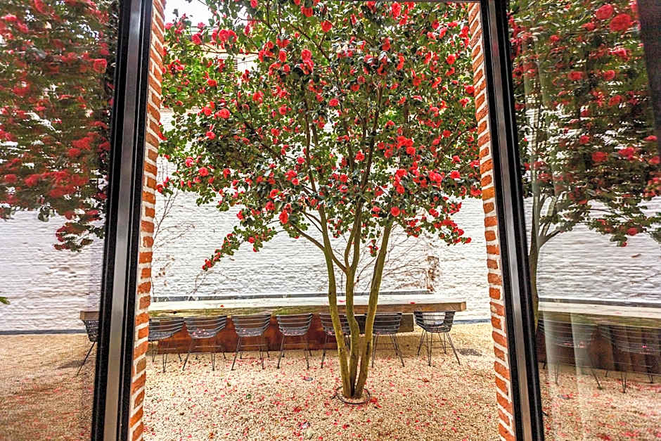 BTFL Living Antwerp, Zirkstraat