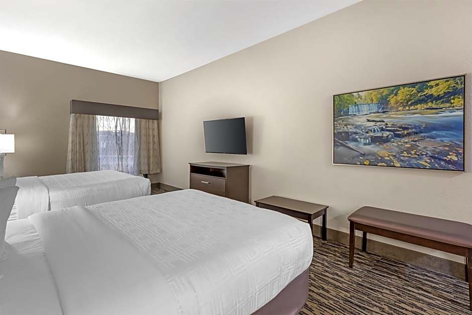 Best Western Plus McDonough Inn & Suites