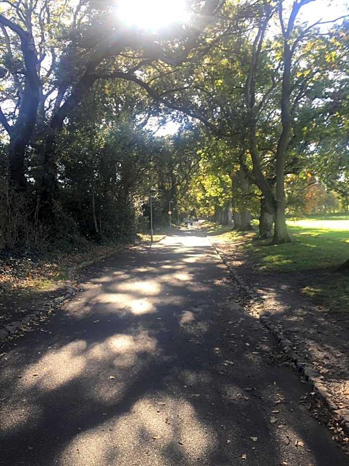 The Lodge at Bodenlodge