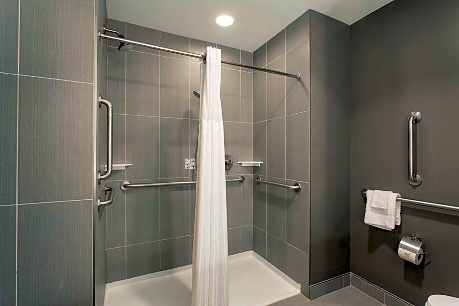 The Mosey Buffalo Williamsville Tapestry Collection Hilton