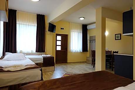 Studio with Mountain View