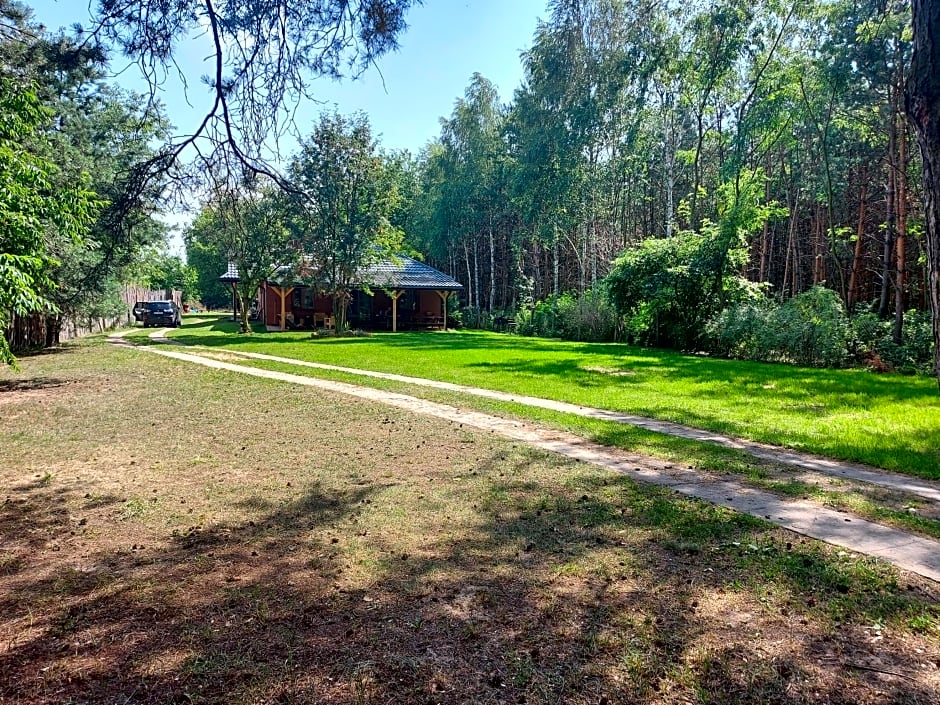 Dom imprezowy z noclegami Dziecinów