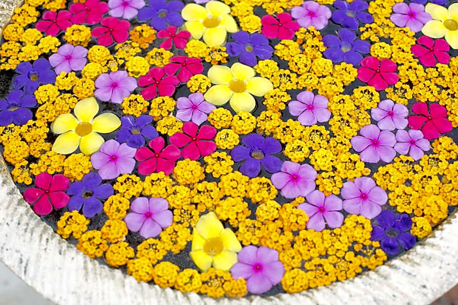 Le Duc de Praslin Hotel & Villas