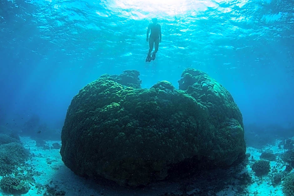 Wilson Island