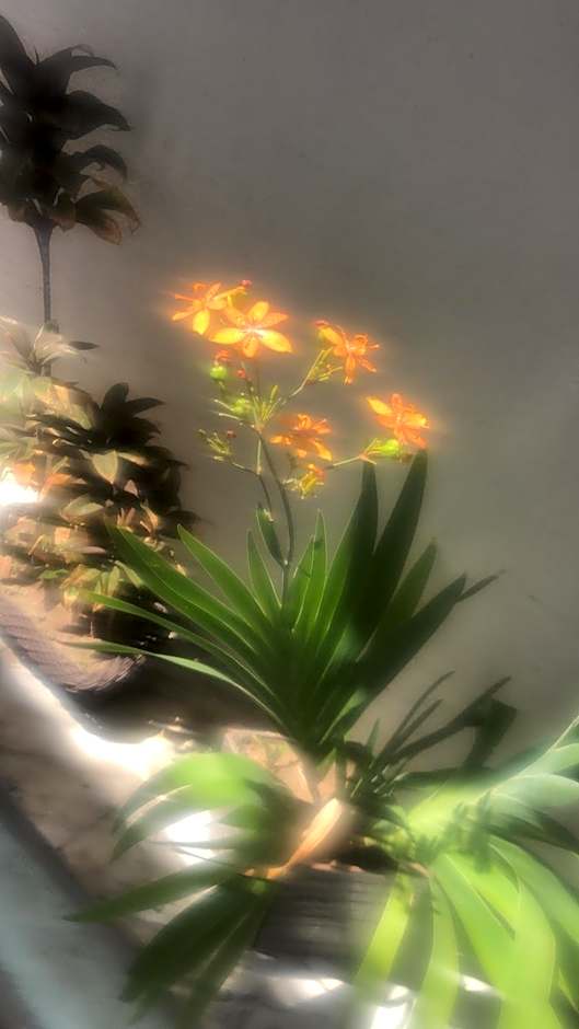 casa de dois quartos com cozinha perto do aeroporto Aluízio Alves