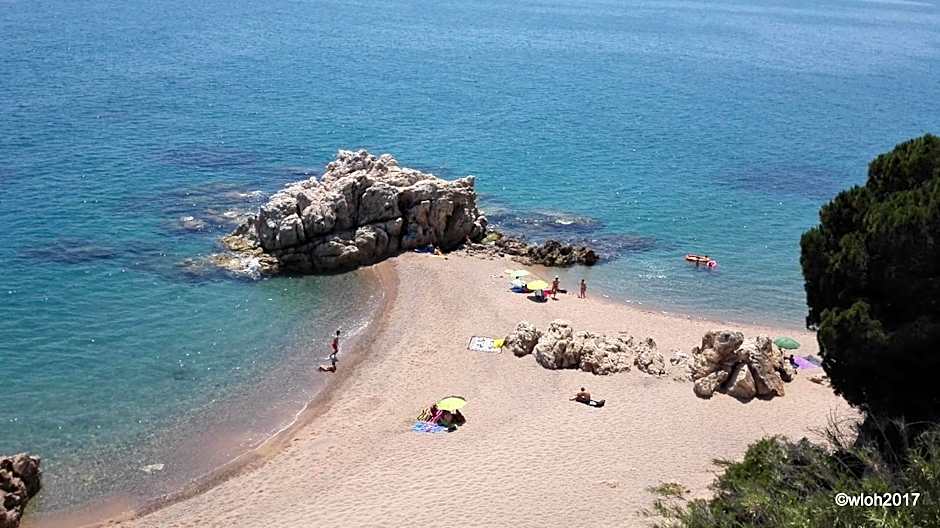 Hotel Oasis Park Splash