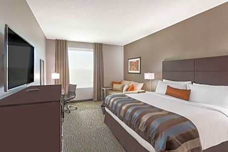 King Room with Sofa Bed - Non-Smoking