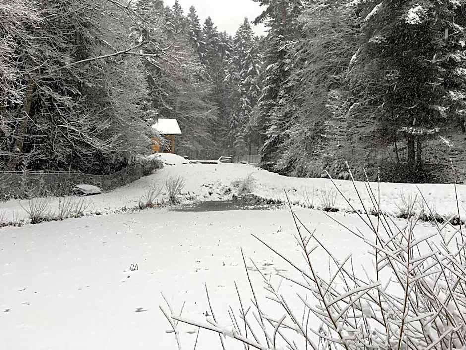 Bieszczady Domek Nad Stawem