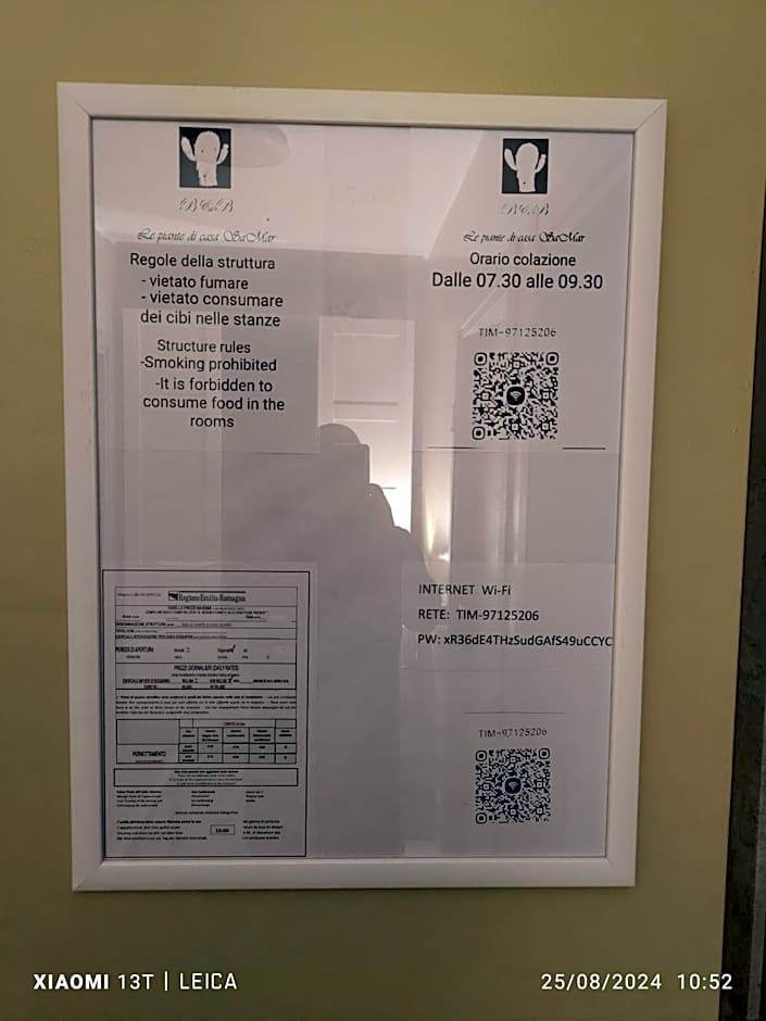 Le piante di casa SaMar
