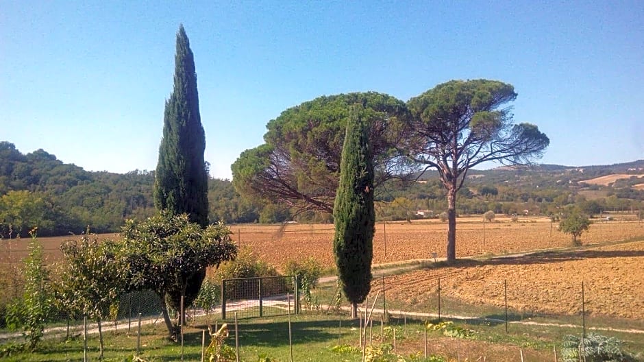 Tana Del Tasso