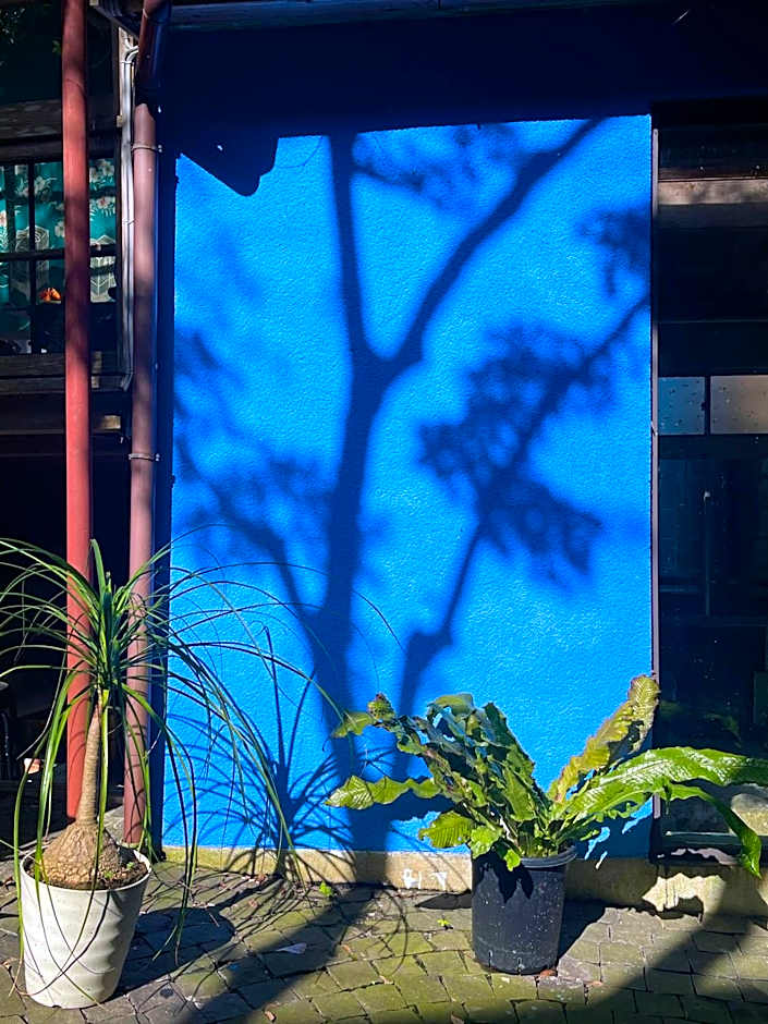 泊まれる廃墟 ぐんじょう