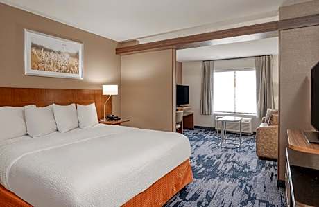 Suite, 1 King Bed with Sofa bed (1 King Bed and 1 Double Sofa Bed)