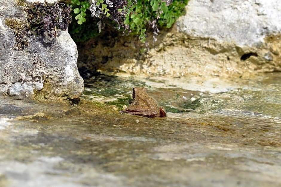 FattoriaTenuta Santa Caterina