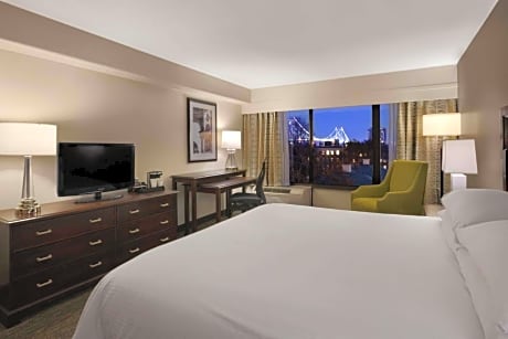 Room King Size Bed