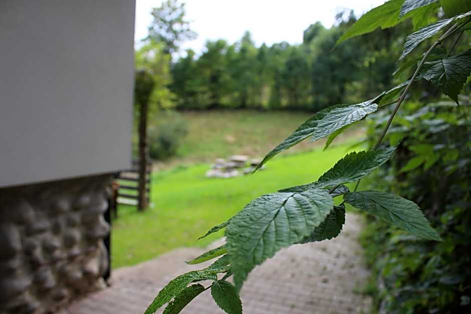 Apartamenty Świstak Maciej Dunajczan