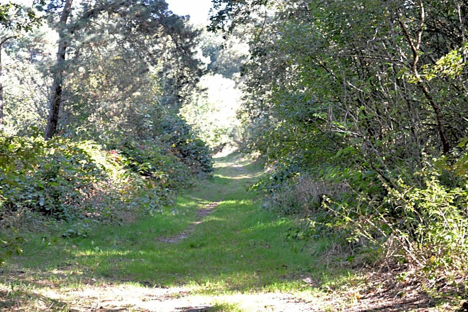 Auberge De Moerse Hoeve