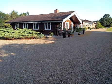 Vibereden
