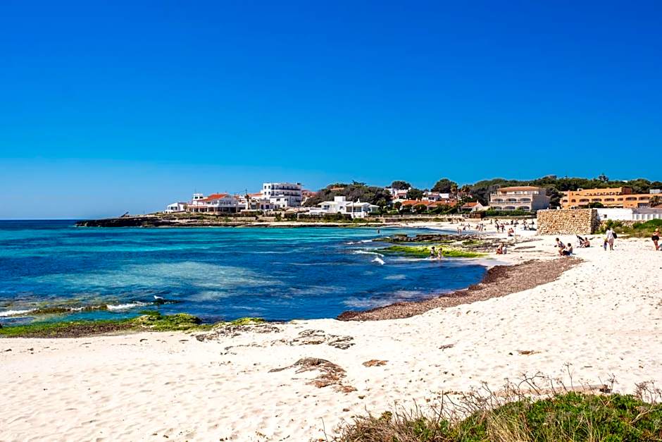 Comitas Isla del Aire