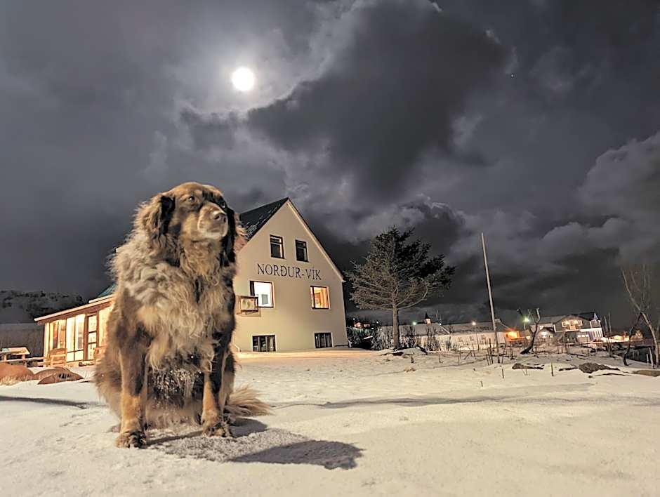 Vík Hostel