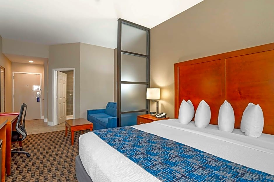 Best Western Plus Greenville I-385 Inn & Suites