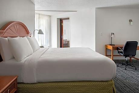 One-Bedroom King Suite with Sofa Bed