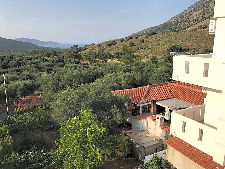 Tholos Rooms