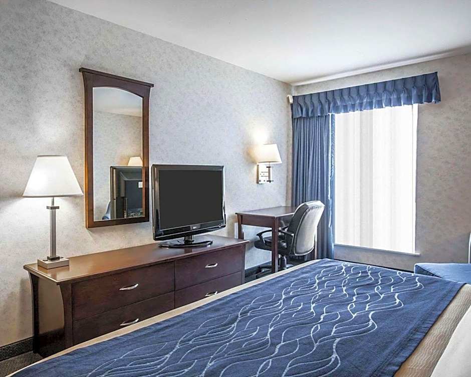 Comfort Inn Bellingham