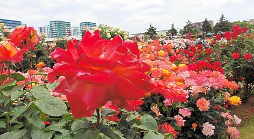 Toyoko Inn Chiba Shin-Kamagaya Ekimae
