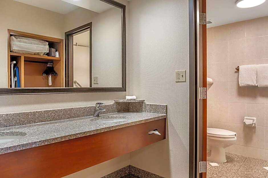 DRURY INN & SUITES ST LOUIS SOUTHWEST