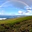 Ocean View Guestrooms