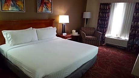 1 King Bed 1 Bedroom Suite