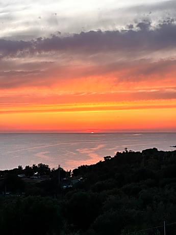 Dimora degli Ulivi