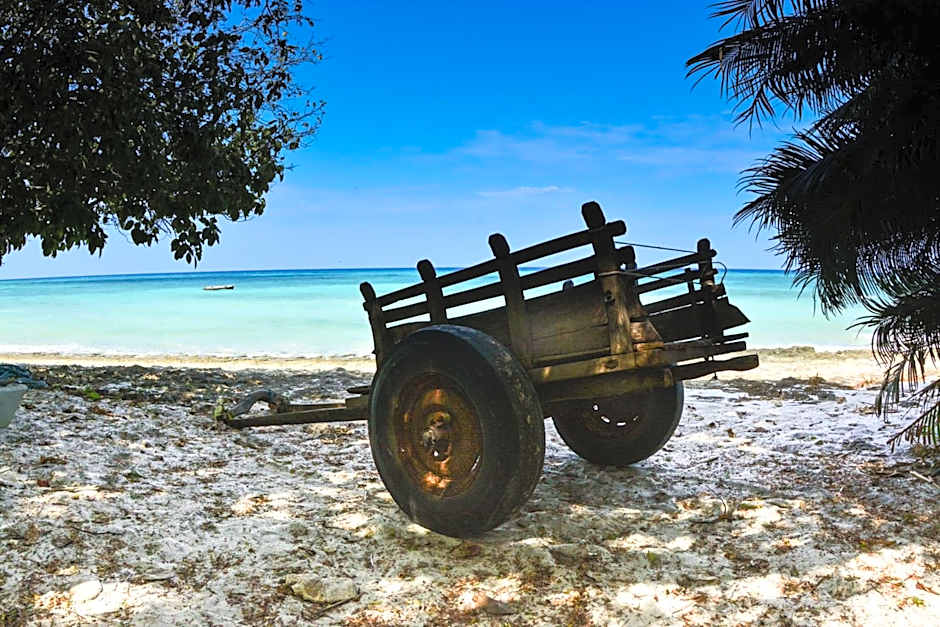 Gecko Nature Lodge Home of Swahili Divers the BEST dive center and Famous Gecko Restaurant