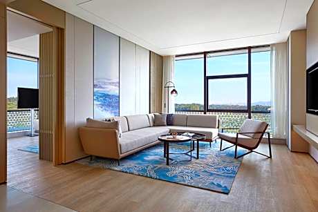 executive lounge access, junior suite, 1 king, sofa bed, city view