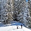Chalet Arpitan - rentals