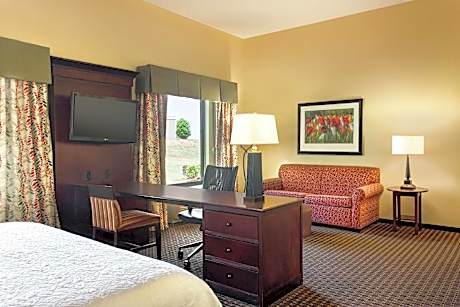 1 King Mobility Access Ri Shwr Studio Nosmok Sofabed/microwv/fridge/wet Bar/hdtv/ Work Area/free Wi-