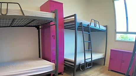 Bed in 8-Bed Mixed Dormitory Room