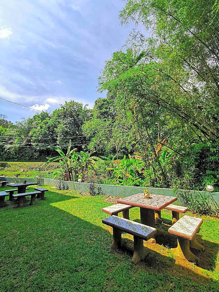 Green Peace Sungai Lembing