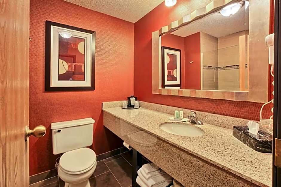 Comfort Inn & Suites and Conference Center