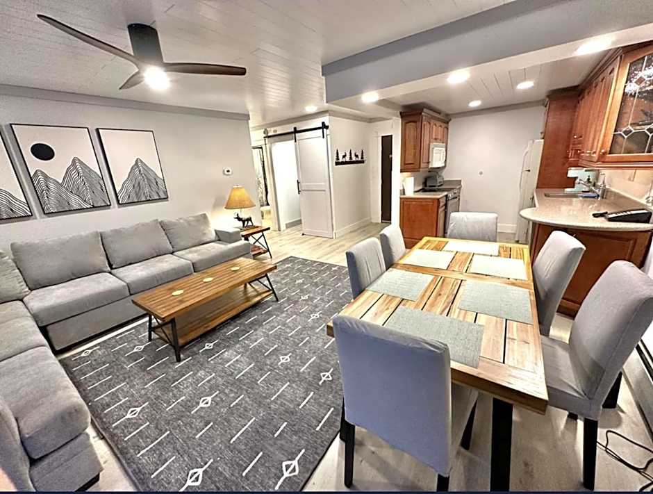 Remodeled Ski in and ski out Condo!