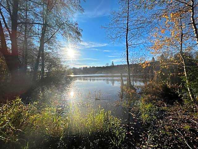 Chata na konci louky